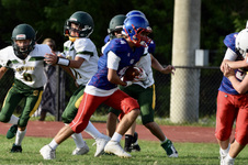 Enlarge photo 233