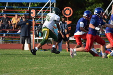 Enlarge photo 237