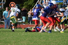 Enlarge photo 238