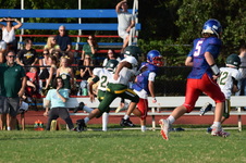 Enlarge photo 239