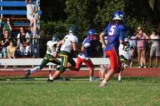 Enlarge photo 241