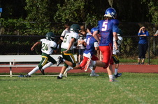 Enlarge photo 242