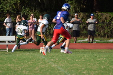 Enlarge photo 243