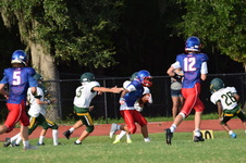 Enlarge photo 244
