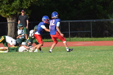 Enlarge photo 248