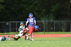 Enlarge photo 249