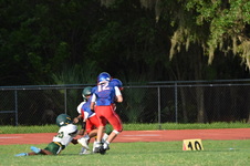 Enlarge photo 251