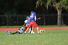Enlarge photo 252