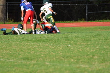 Enlarge photo 256