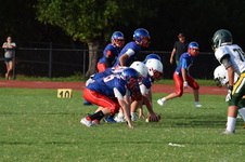 Enlarge photo 286