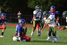 Enlarge photo 299