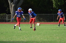 Enlarge photo 298