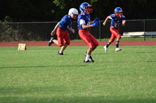 Enlarge photo 308