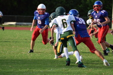 Enlarge photo 313