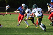 Enlarge photo 312