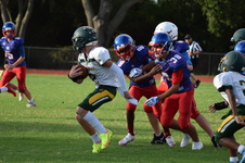 Enlarge photo 318