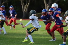 Enlarge photo 321