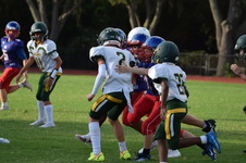Enlarge photo 320
