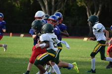 Enlarge photo 323