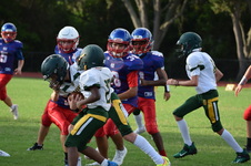 Enlarge photo 324