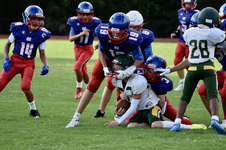 Enlarge photo 329