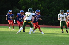 Enlarge photo 346