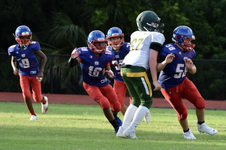 Enlarge photo 344