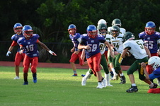 Enlarge photo 349