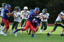 Enlarge photo 352