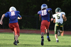 Enlarge photo 353