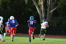 Enlarge photo 358
