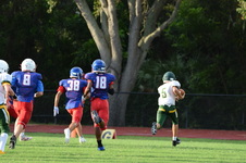 Enlarge photo 359