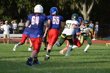Enlarge photo 383