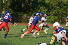 Enlarge photo 390
