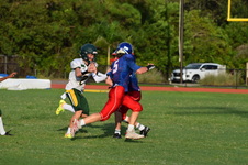 Enlarge photo 391