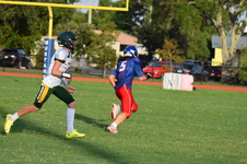 Enlarge photo 397