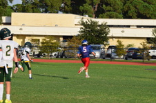 Enlarge photo 396