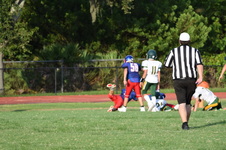 Enlarge photo 410