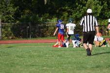 Enlarge photo 411