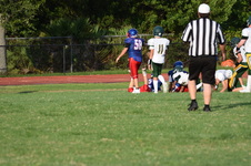 Enlarge photo 412
