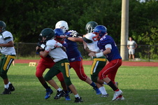 Enlarge photo 423