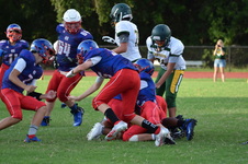 Enlarge photo 425