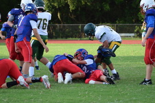 Enlarge photo 428