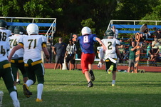 Enlarge photo 441