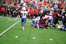 Enlarge photo 30