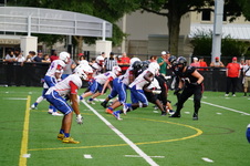 Enlarge photo 59