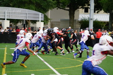 Enlarge photo 60