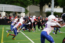 Enlarge photo 61