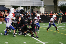 Enlarge photo 65