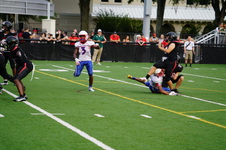 Enlarge photo 68
